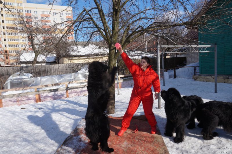 Фотография № 221516