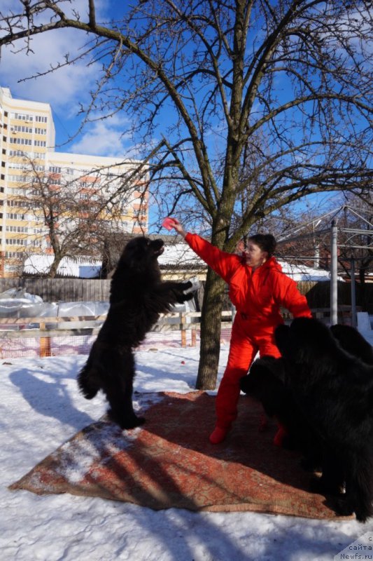 Фотография № 221517