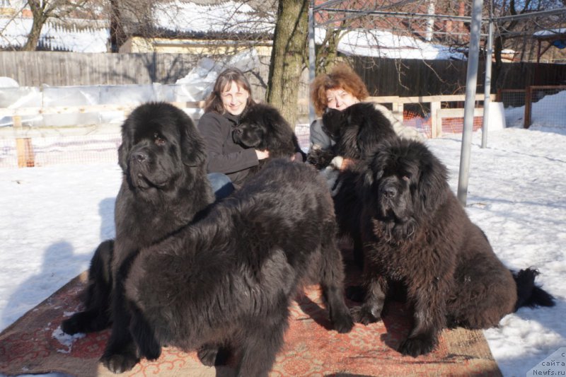 Фотография № 221518