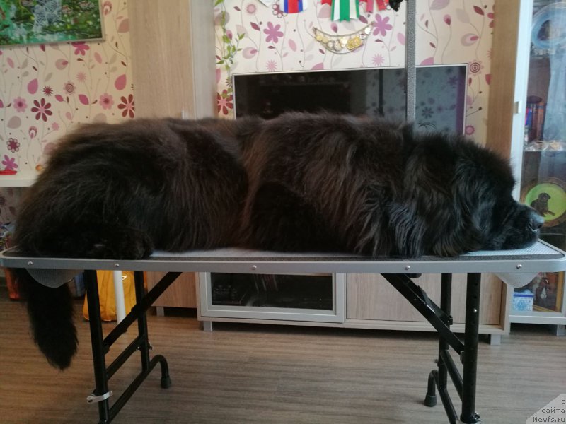 Фотография № 221560