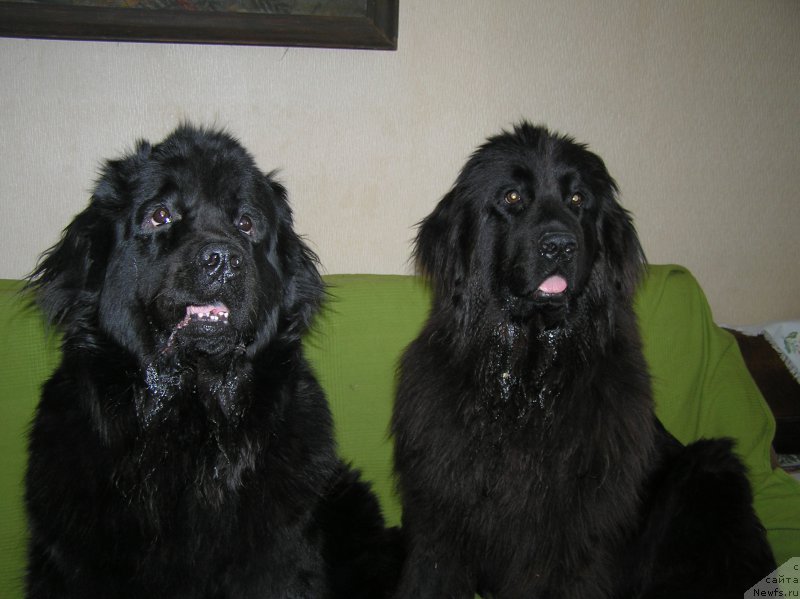 Фото: [d13812] и [d15777]