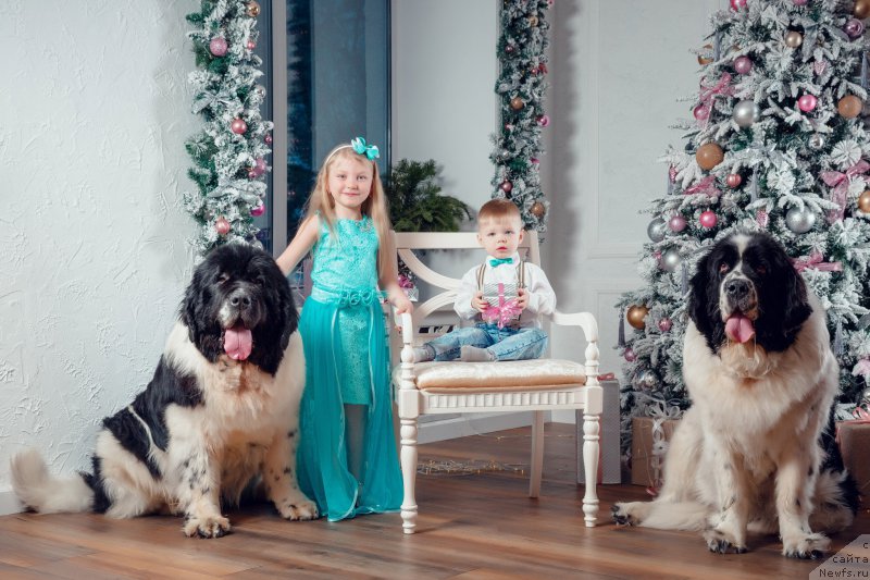 Фотография № 221563