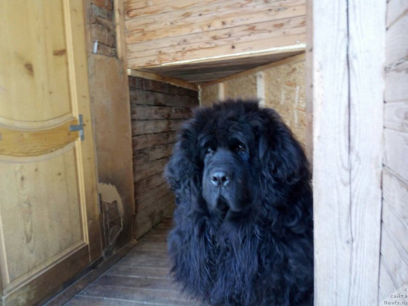 Фотография № 221599