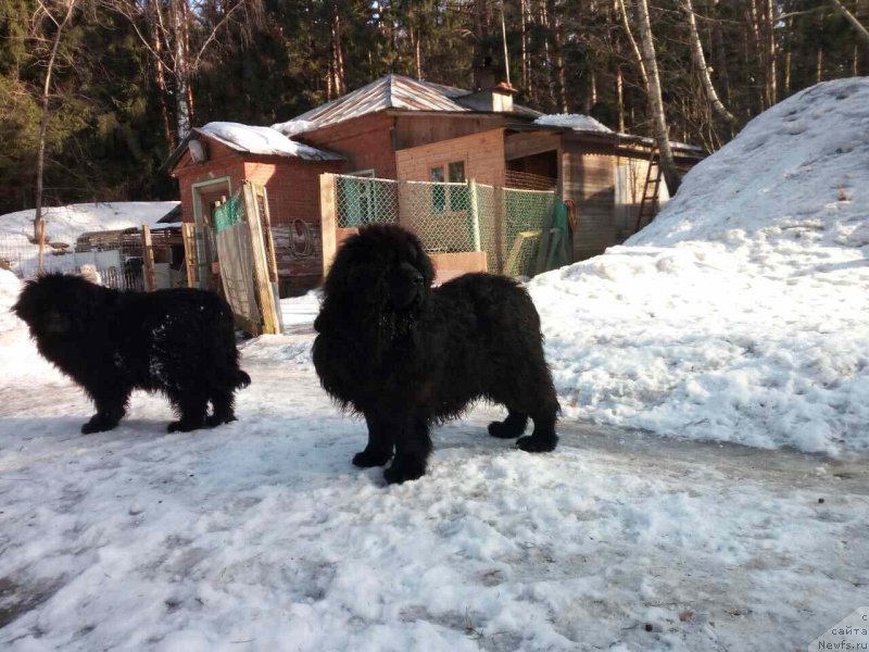 Фотография № 221600