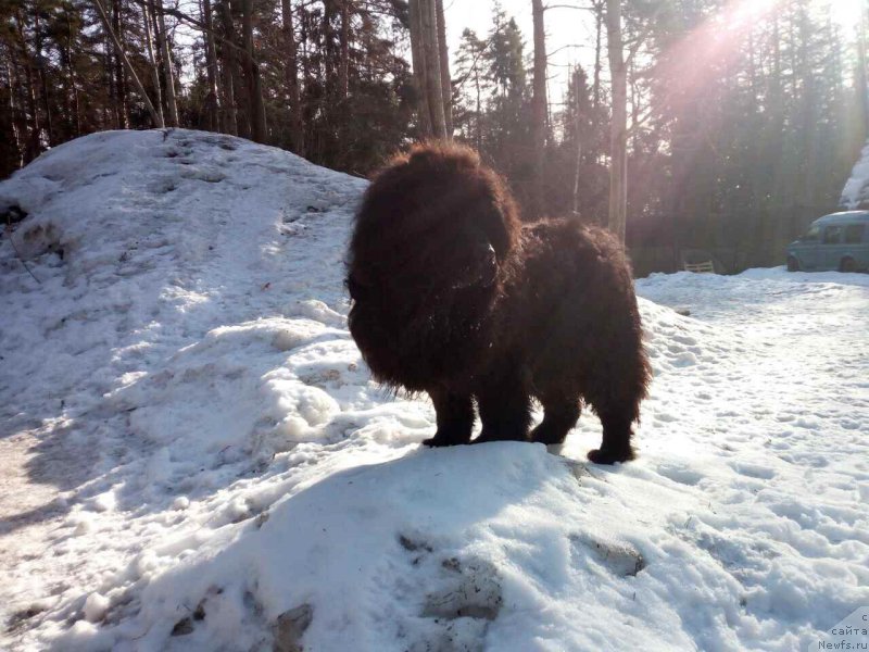 Фотография № 221601