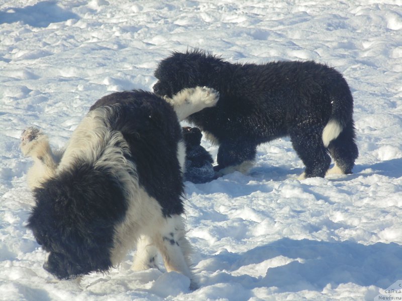 Фотография № 221609