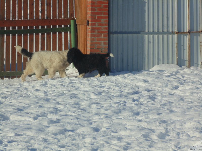 Фотография № 221611