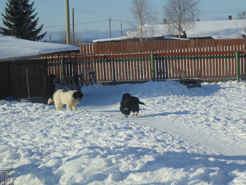 Фотография № 221612