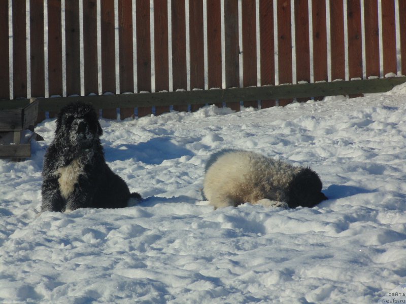 Фотография № 221632