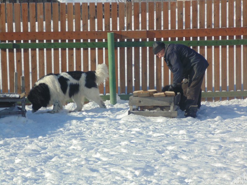 Фотография № 221635