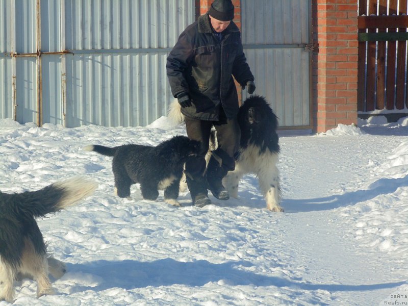 Фотография № 221636