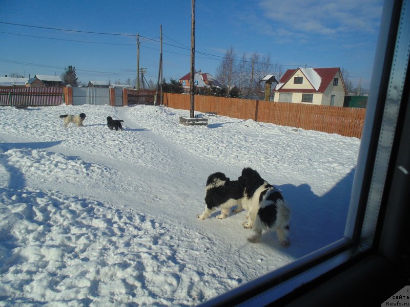 Фотография № 221638