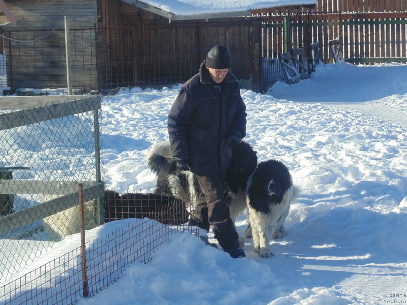 Фотография № 221641