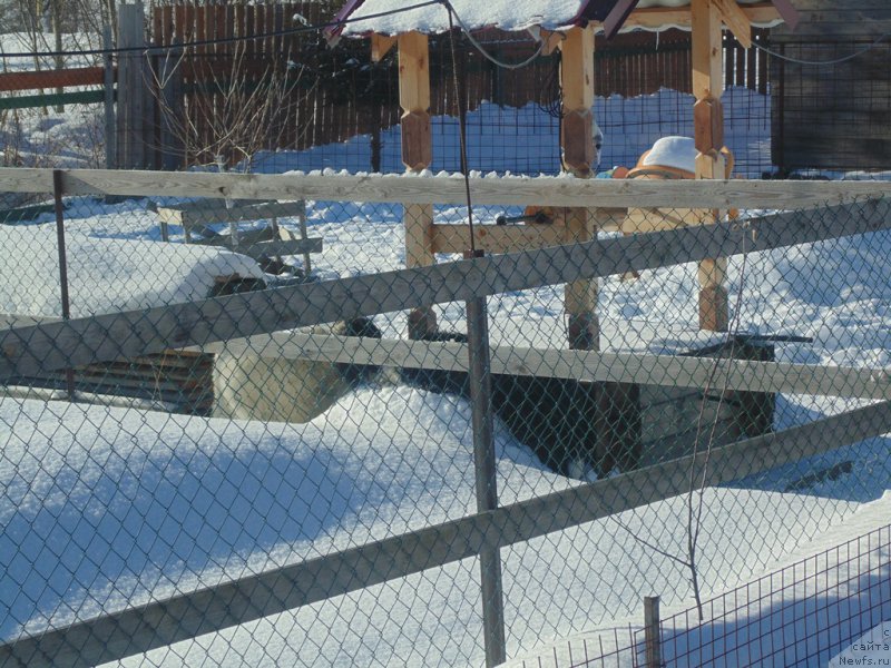 Фотография № 221642