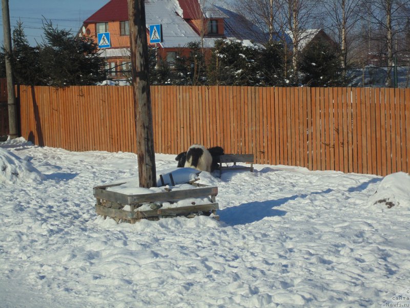 Фотография № 221653