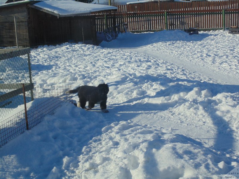 Фотография № 221658