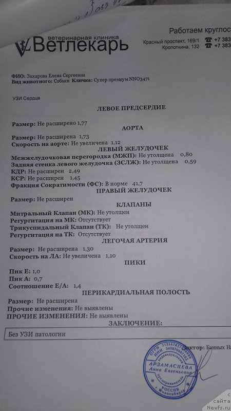 Фотография № 221669