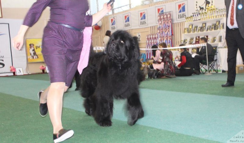 Фотография № 221700