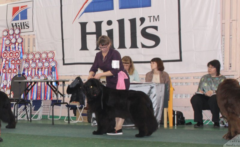 Фотография № 221701