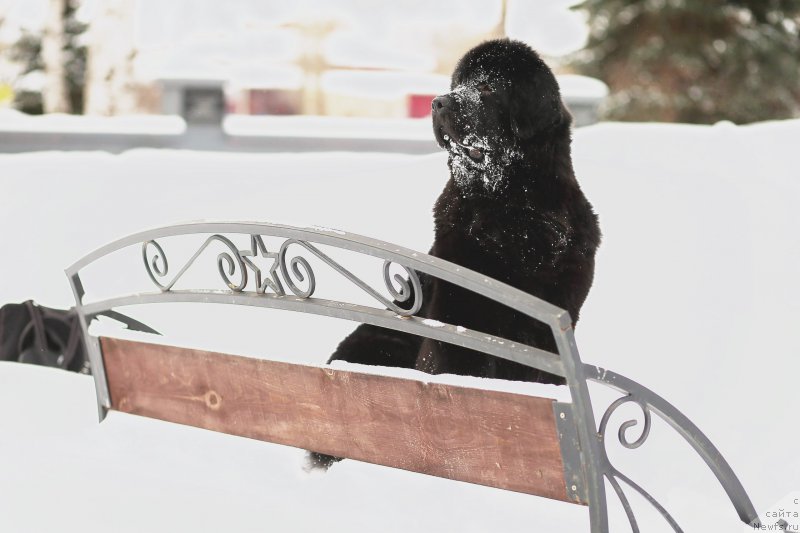 Фотография № 221713