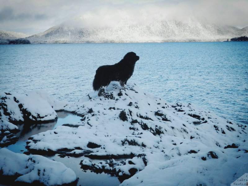 Фотография № 221762