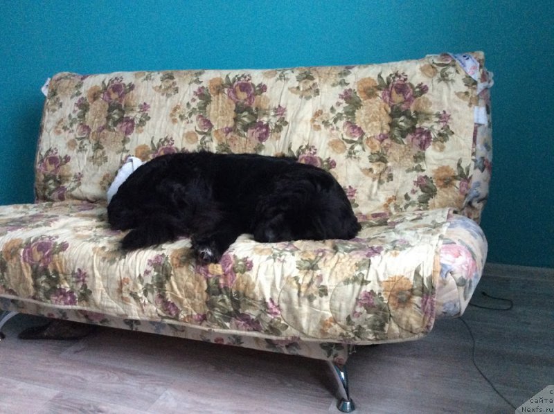 Фото: Игорь Сорокин