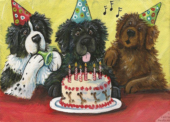 Фотография № 221800