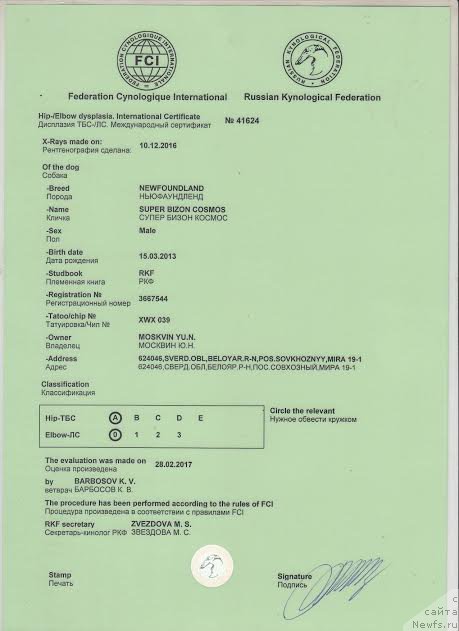 Фотография № 221829