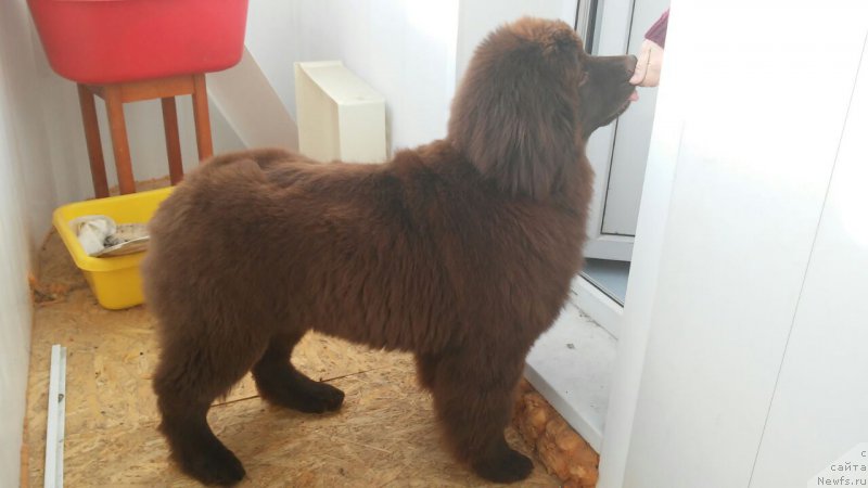 Фотография № 221929