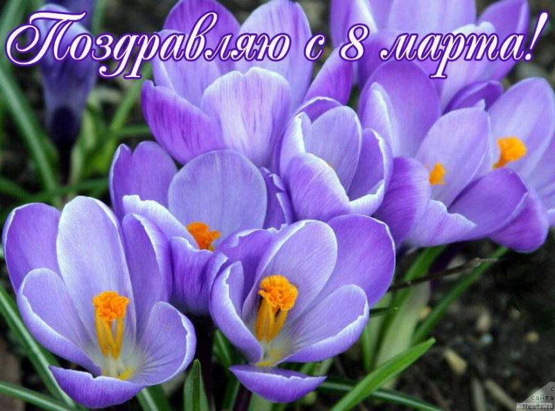 Фотография № 221945