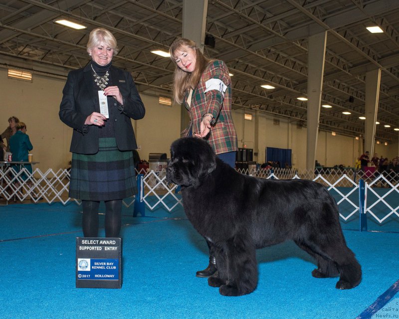 Фотография № 221954