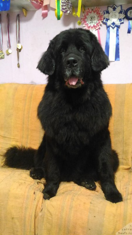 Фотография № 221982