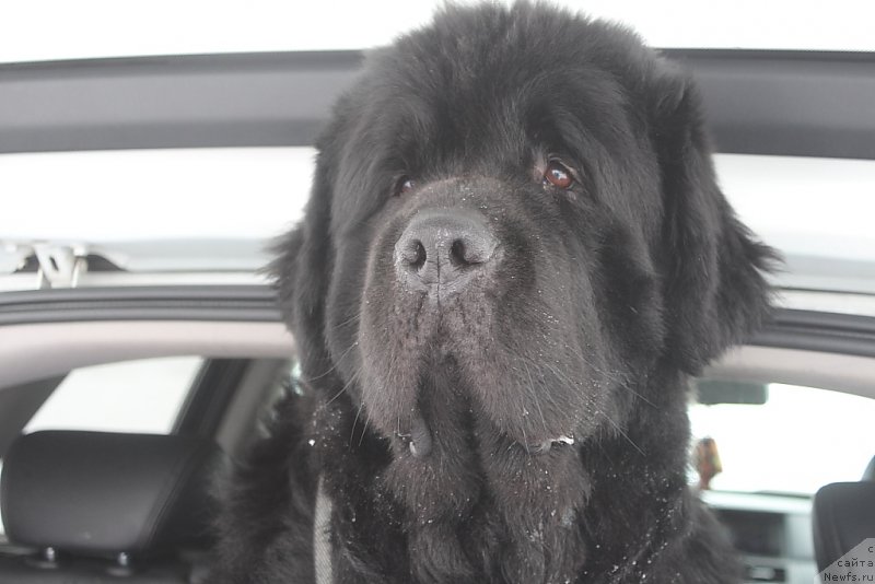 Фотография № 221987