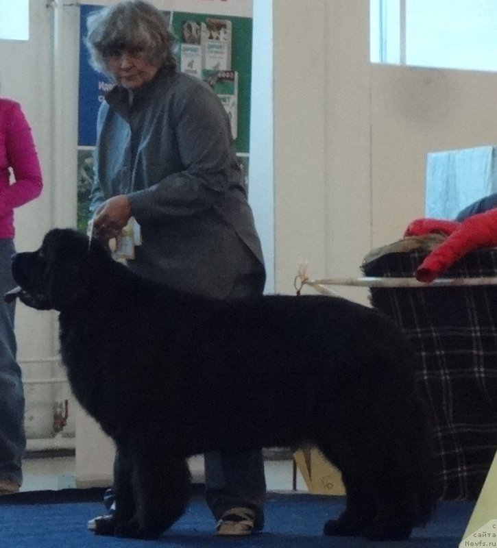 Фотография № 221998