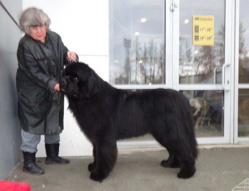 Фотография № 221999