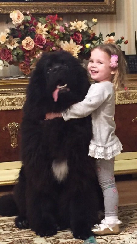 Фотография № 222005