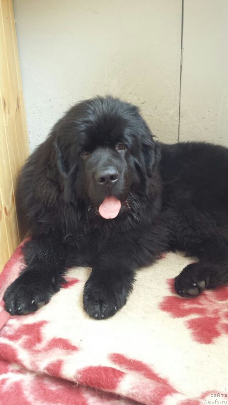 Фотография № 222006