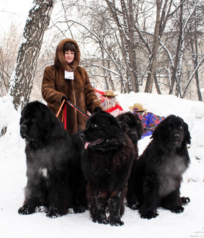 Фотография № 222021