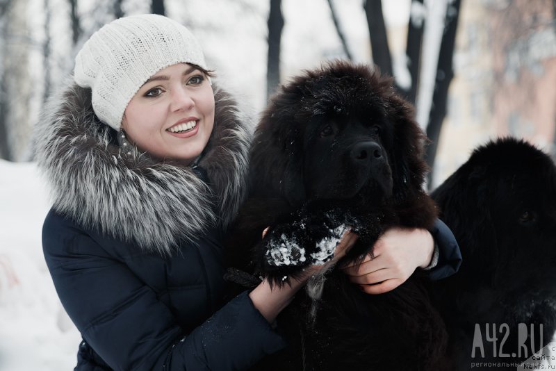 Фото: ньюфаундленд Реми Мартин Луи из Антаграда (Remi Martin Lui is Antagrada)