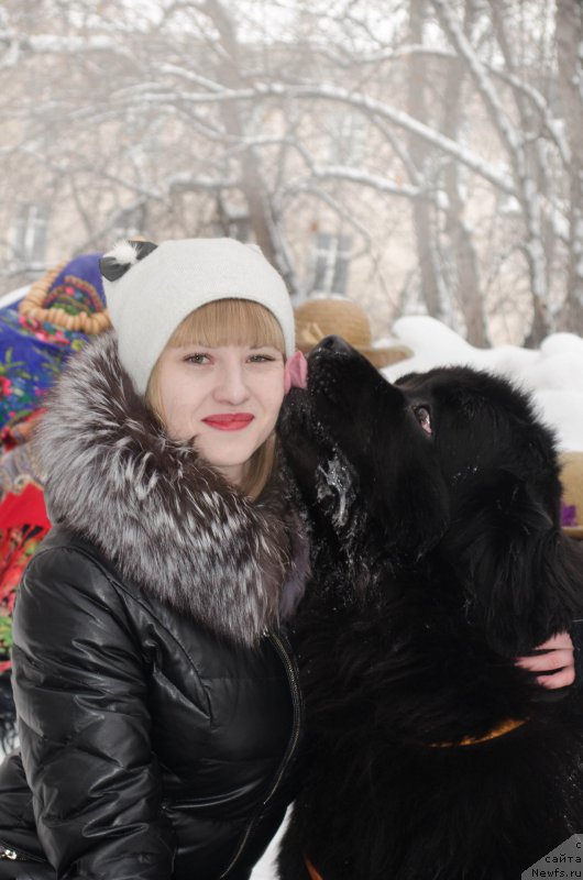 Фотография № 222023