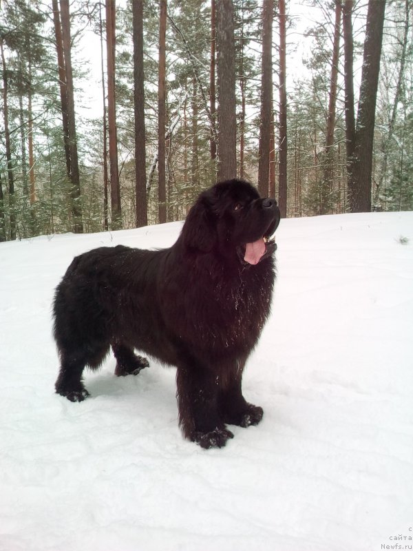 Фотография № 222024