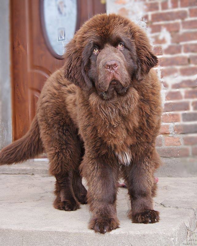 Фотография № 222062