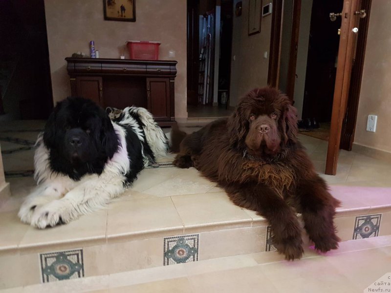 Фотография № 222073