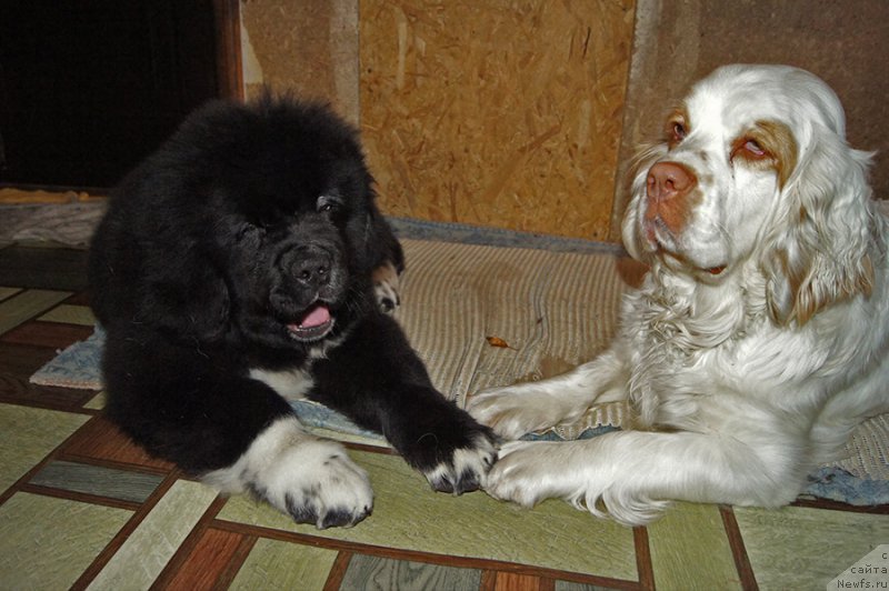 Фотография № 222078