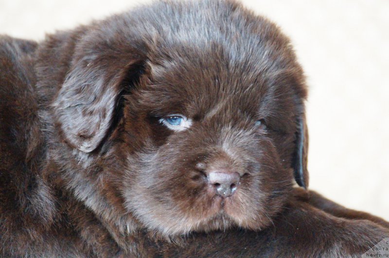 Фотография № 222113