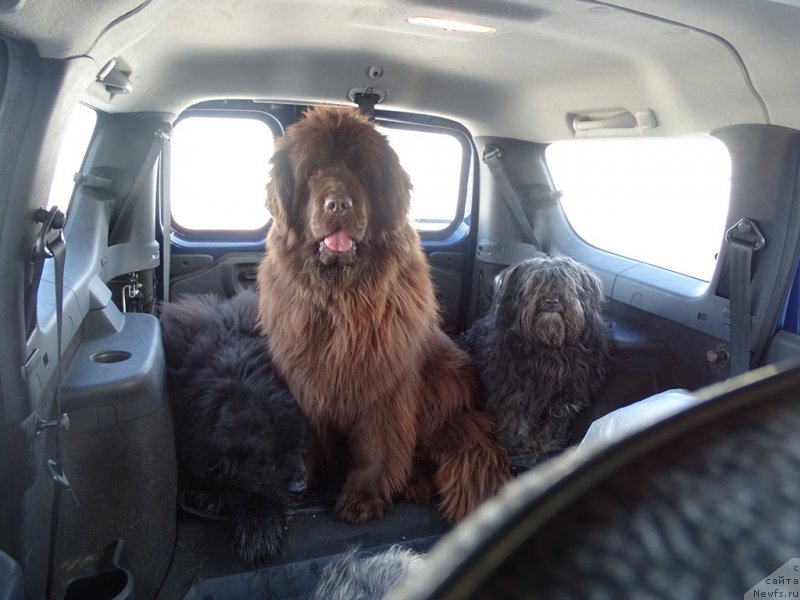 Фотография № 222115