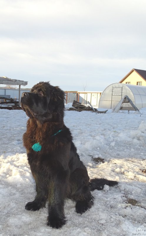 Фотография № 222116