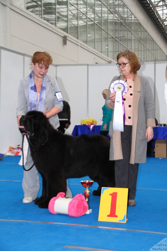 Фотография № 222130