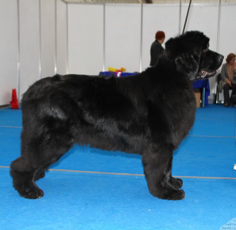 Фотография № 222144