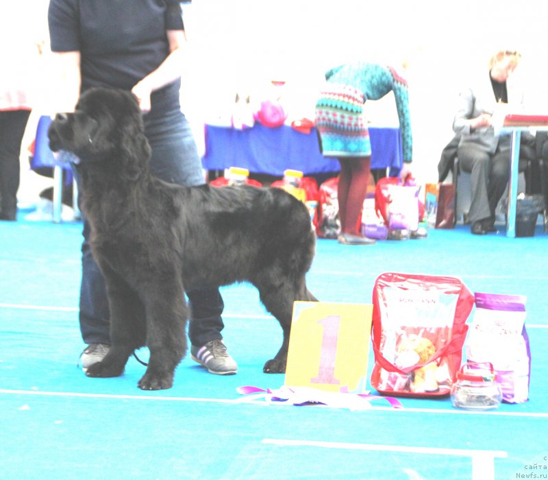 Фотография № 222147